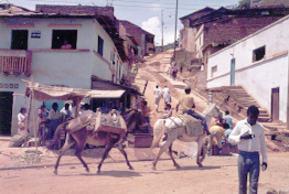 Cali, Colombia,
                    squatter settlement lacking motorable roads.