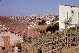 Istanbul,
                    Turkey, well-established gegucandu lacking water and
                    sewer (illegally located on state land).